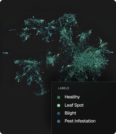 Embeddings scatter plot colored by class label in the FiftyOne App