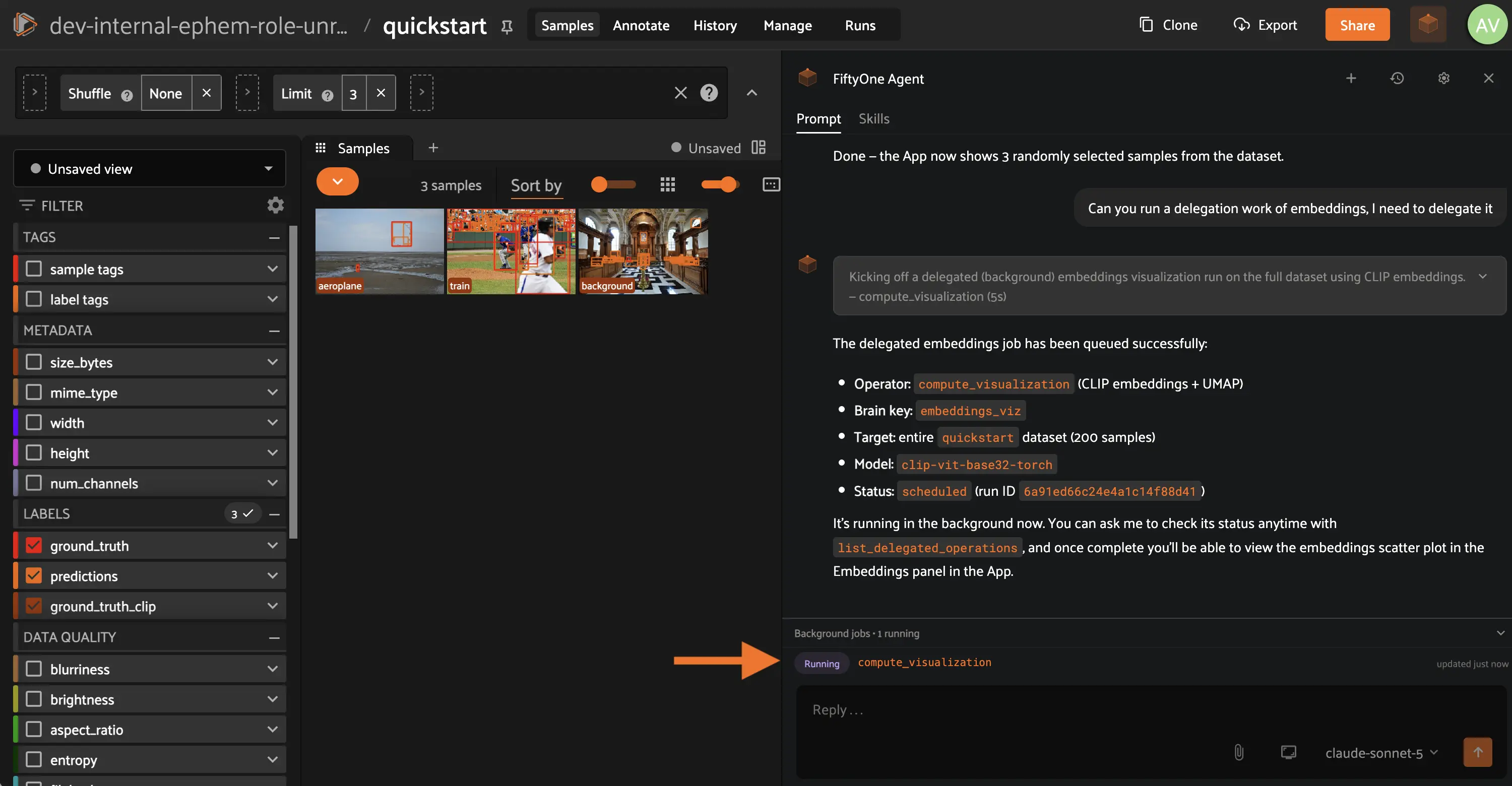 fiftyone-agent-delegated-ops-detail