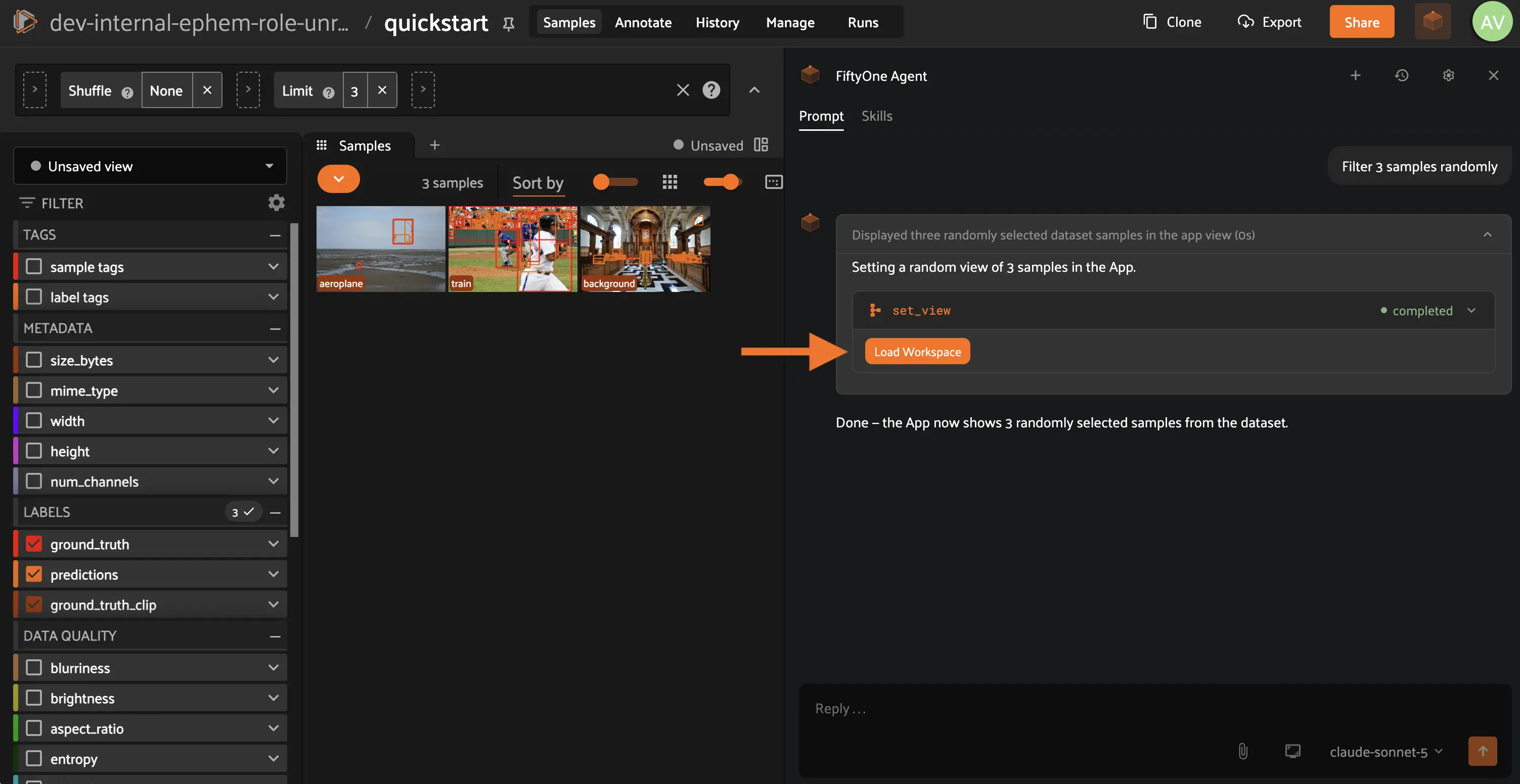 fiftyone-agent-load-workspace-location